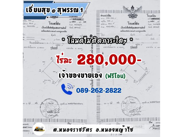 อย่าช้า️สุพรรณ หนองหญ้าไซ 280,000 (1 ไร่ จำกัด 2 แปลงเท่านั้น️) มีน้ำไฟ️ติดถนน️ฟรีโอน ️เจ้าของเอง