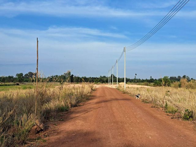 ที่ดินแบ่งขายสด/ผ่อนดงขี้เหล็ก เริ่มต้น 100 ตรว.-200 ตรว. ถมแล้ว จ.ปราจีนบุรี