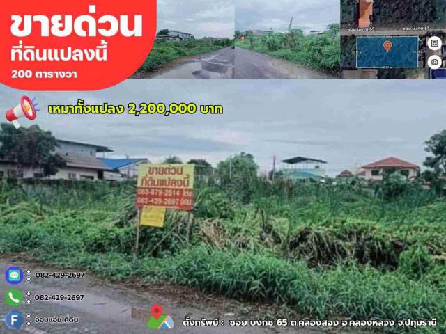 ร้อนเงิน ขายด่วนที่ดินเปล่า 200 ตรว. ซอย บงกช 65 ต.คลองสอง อ.คลองหลวง จ.ปทุมธานี