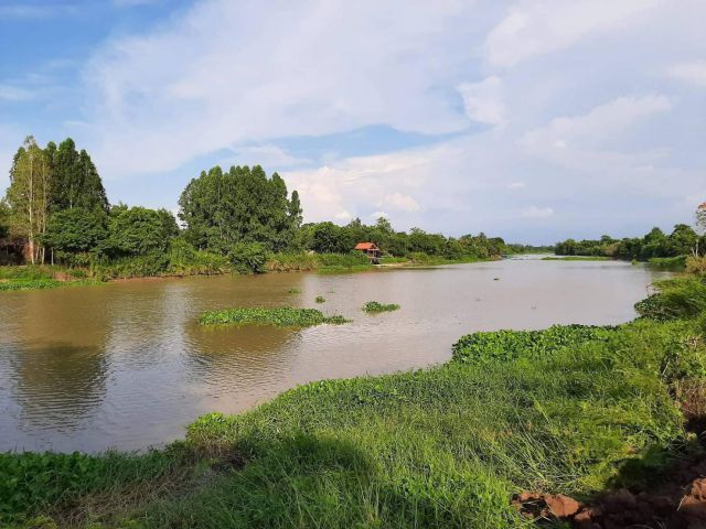 ขายที่ดินบ้านสร้างติดแม่น้ำปราจีน 1 ไร่ ถมแล้วพร้อมสวนผลไม้บางส่วนแถมที่งอก 100 ตรว. จ.ปราจีนบุรี