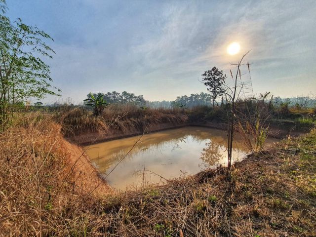 ที่ดินสวยโฉนดใกล้ภูเรือ 19 ๆละ140000 ใกล้ถนนคอนกรีต  มีชุมชนหมู่บ้านขายยกแปลง ดินดี น้ำดีเหมาะกับบ้านสวน สวนผลไม้ ภู