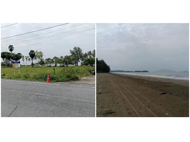 ขายที่ดินข้างทะเลติดชายหาดโฉนด 13 ไร่