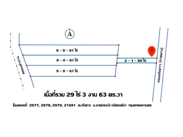 ชายที่ดิน 29 ไร่เศษ