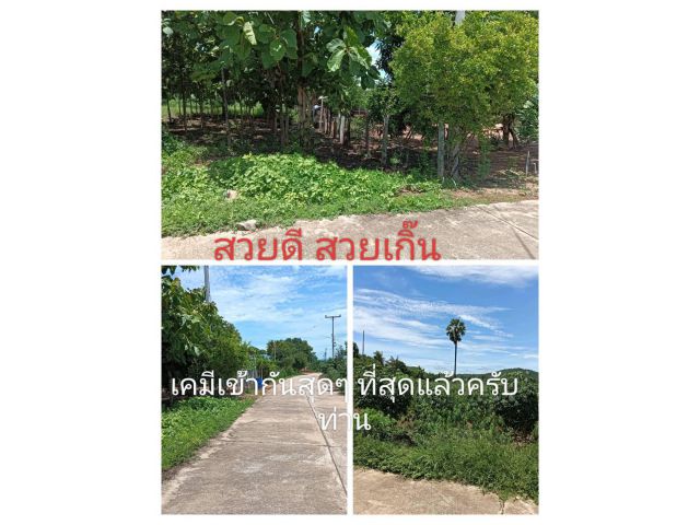 สุดอึ้ง ทึ่งในทำเล ตลึง ตลุย ตลาดไม่ควรพลาดเรื่องที่อยู่อาศัยที่ใกล้ความต้องการ เพราะเป็นย่านที่ควรอยู่ สวยนำพาราคานำร่อง ถูกสวยต้องแปลงนี้