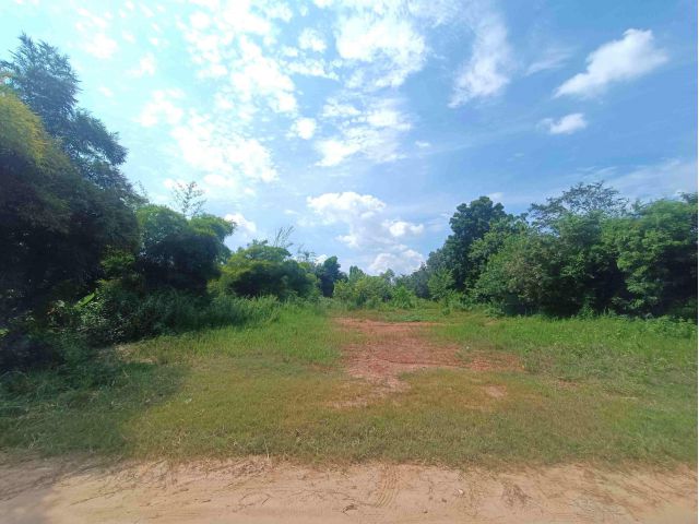 Land for sale - size 399.8 sqw - (1599 sqm). price 3,250,000 THB