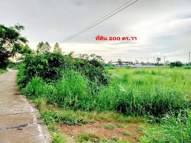 ขาย ที่ดินปราจีนบุรี 200 ตร.วา เหมาะปลูกบ้านพักผ่อน ใกล้กรุงเทพฯ ใกล้เขาใหญ่ แหล่งท่องเที่ยวธรรมชาติ ใกล้ถนนสุวรรณศรใหม่