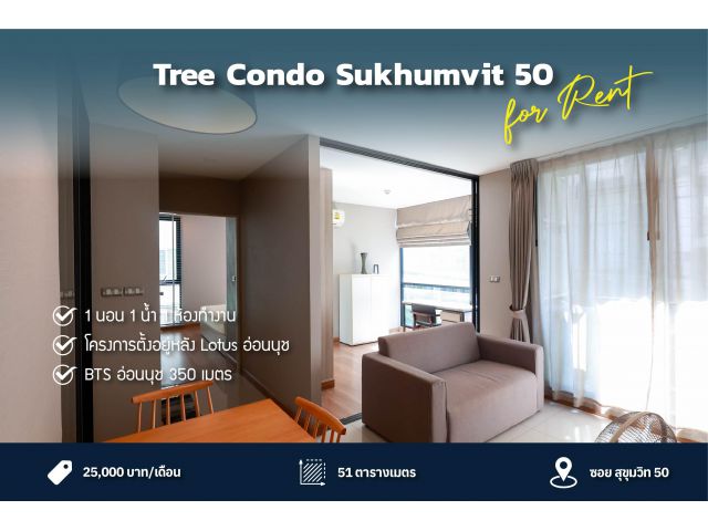 ให้เช่า คอนโด Tree Condo สุขุมวิท 50 ใกล้ BTS อ่อนนุช ชั้น 2 ห้องมุม เฟอร์นิเจอร์ครบ