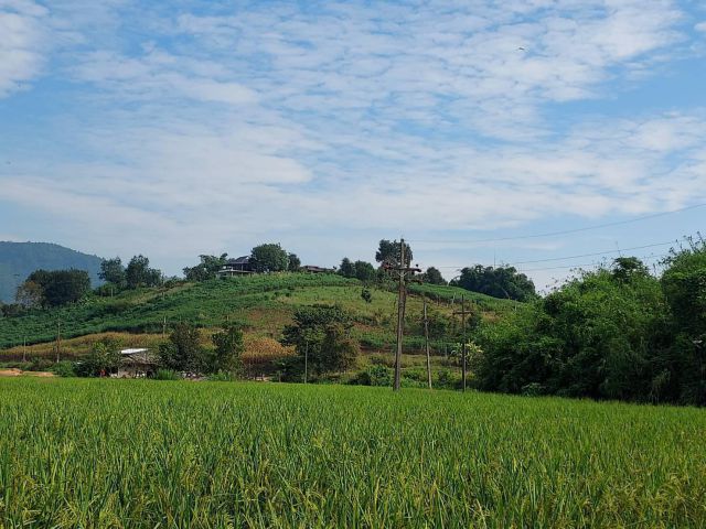 ขายที่ดินเนินดอยใกล้เมืองด่วน โฉนด น้ำไม่ท่วม