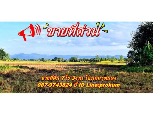 ขายที่ 7 ไร่ โฉนดครุฑแดง