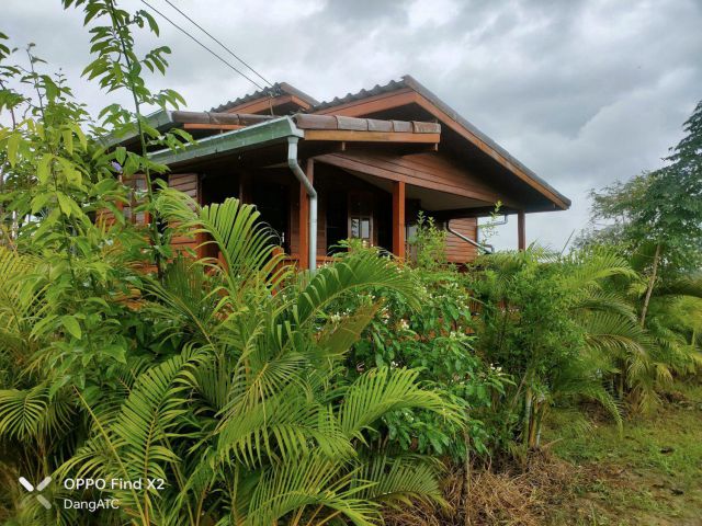 ขายที่ดินพร้อมบ้านสวน เนื้อที่ 4 ไร่ ติดถนนหลวง ทล.1272 (เมืองเก่า-คีรีมาศ) ใกล้อุทยานประวัติศาสตร์สุโขทัย ต.เมืองเก่า อ.เมือง จ.สุโขทัย (มีคลิปVDO)