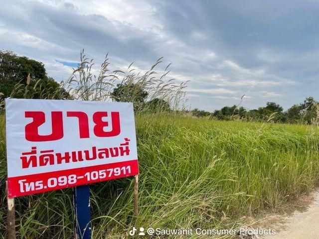 Land for sale 50 sq. w. Five hundred thousand Baht, Ban Bueng District Chonburi