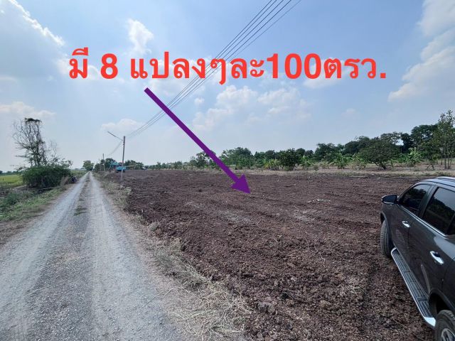 ที่ดินถมแล้ว1งาน 5 แสน ฟรีโอน ค.5 ผ่อน 6 แสน ฟรีโอน