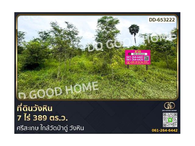 ที่ดินวังหิน 7 ไร่ 389 ตร.ว. ศรีสะเกษ ใกล้วัดป่าดู่ วังหิน