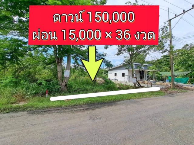 ที่ดินเงินผ่อน 106 ตรว.คลอง 12 หนองเสือ ห่างถนนเลียบคลอง 100 เมตร