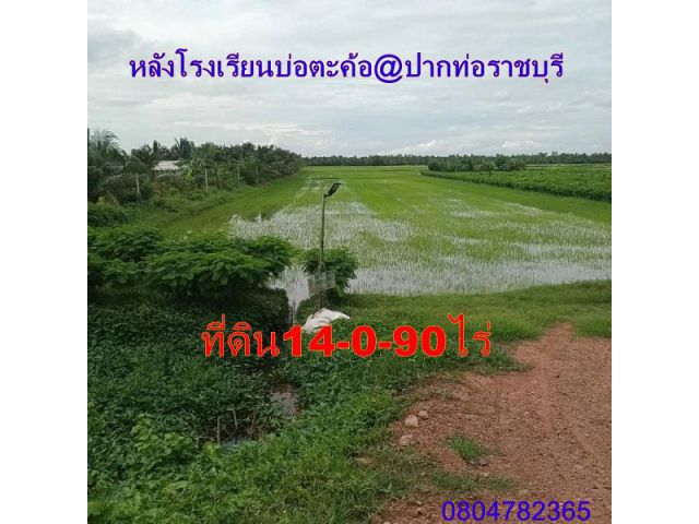 ที่ดิน14ไร่90ตร.วา ติดคลองชลประทานอยู่หลังโรงเรียนบ้านบ่อตะค้อ ใกล้สถานีรถไฟบ่อตะค้อ ปากท่อ ราชบุรี ห่างถนนเพชรเกษม2.5กม