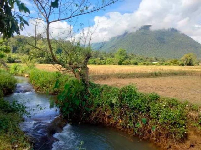 ขายที่ดินตำบลเชียงดาวติดลำธารน้ำวิวดอยโฉนดพร้อมโอน