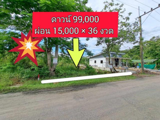 ที่ดินเงินผ่อน 106 ตรว.คลอง 12 หนองเสือ ห่างถนนเลียบคลอง 100 เมตร