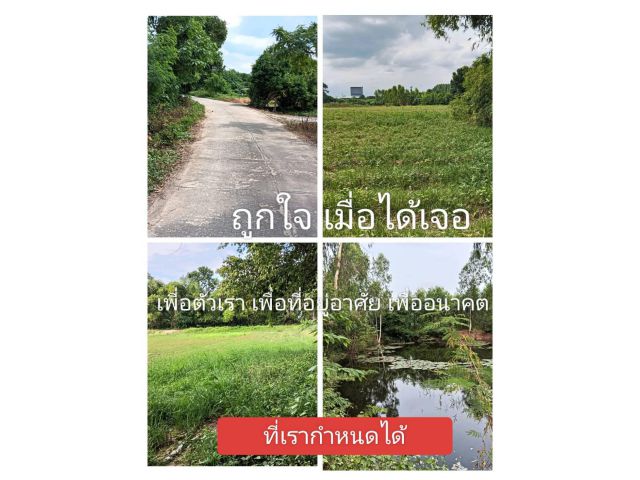 แปลงที่ภูมิใจอยากให้ไปให้ถึง ตลึงตลุย ตลาดอสังหาที่มีมูลค่า มีคุณค่ากับการนำเสนอ ทำเลนี้ราคานี้สวยดีนักแล