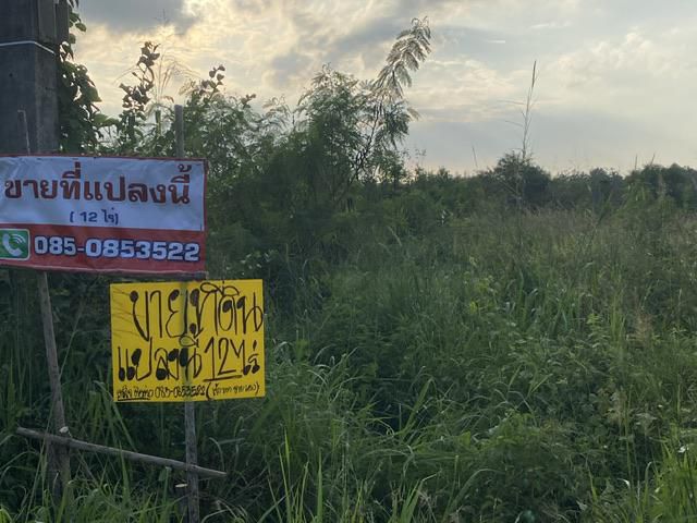 ขายที่ดิน12ไร่ ติดถนน3138บ้านค่าย-บ้านบึง ข้าง อบต หนองบัว บ้านค่าย ระยอง