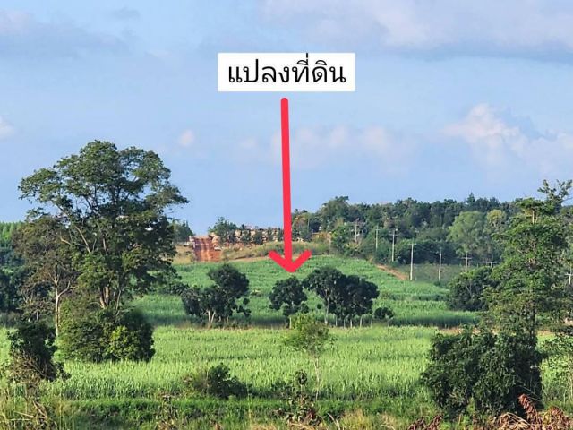 ขายที่ดินเขาใหญ่ วิวเขา 20-2-64 ไร่ ไร่ละ1.2ล้าน อ.ปากช่อง ต.คลองม่วง เหมาะทำบ้านพักตากอากาศ