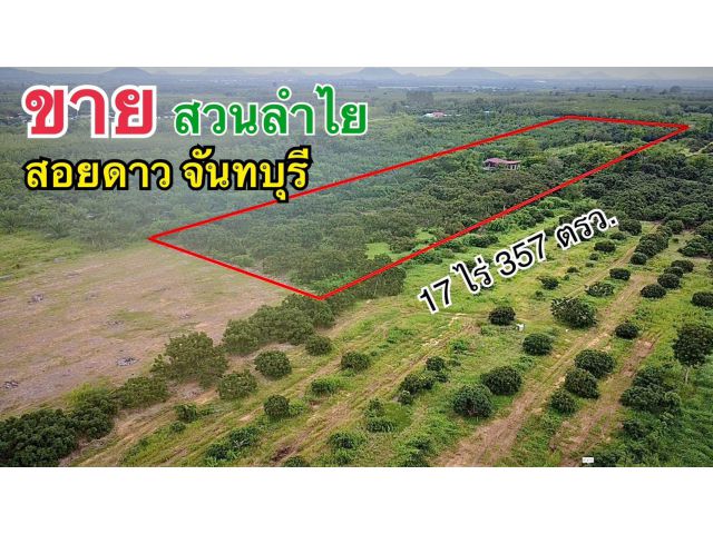 ขายที่ดิน สวนลำไยของตัวเองค่ะ เอกสารโฉนด 17 ไร่ 357 ตร.วา มีบ้าน2ชั้น