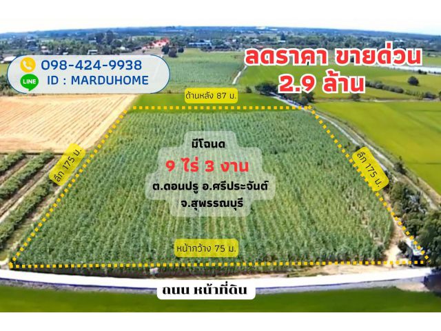 ที่ดินสวย 9 ไร่ 3 งาน 5.3 ตารางวา ต.ดอนปรู อ.ศรีประจันต์ จ.สุพรรณบุรี