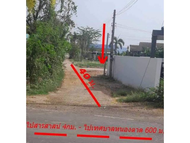 ที่ดินเปล่า