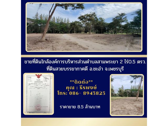 ขายที่ดินใกล้องค์การบริหารส่วนตำบลสามพระยา2ไร่0.5 ตรว.ที่ดินสวยบรรยากาศดีอ.ชะอำ จ.เพชรบุรี