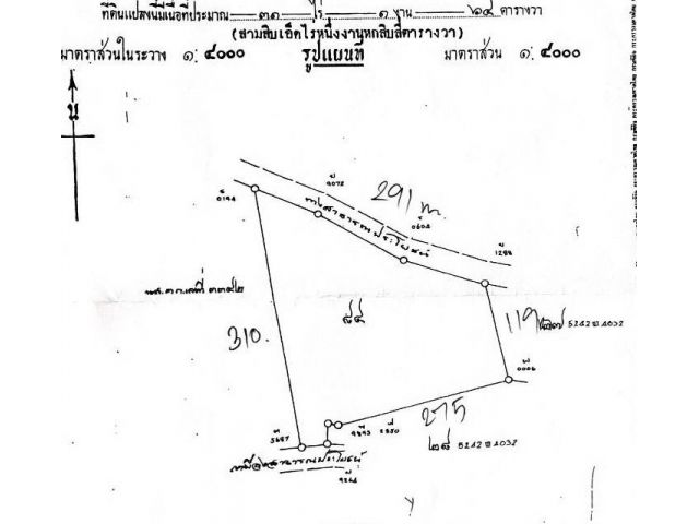 ขายที่ 31 ไร่โฉนดไร่ละ130,000 หน้ากว้าง 291 เมตร