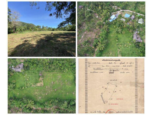 ขายที่ดินเกาะสมุย 2 แปลงติดกัน ต.ตลิ่งงาม อ.เกาะสมุย จ.สุราษฎร์ธานี (เจ้าของขายเอง) เหมาะสำหรับสร้างรีสอร์ท