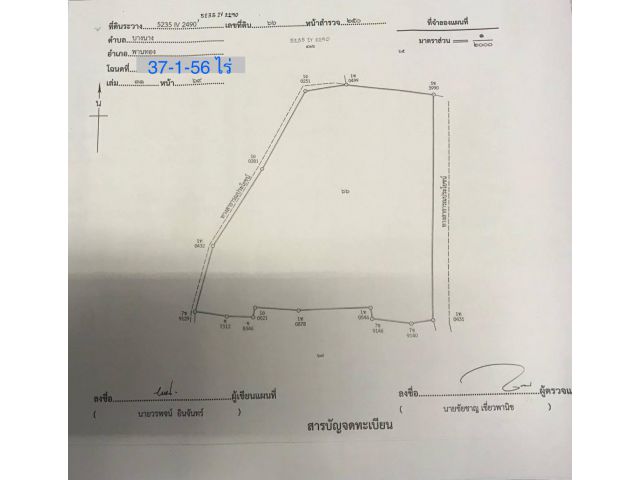 ขายที่ดินแปลงสวย(บ่อปลา) 37 ไร่เศษ ต.บางนาง อ.พานทอง จ.ชลบุรี ใกล้นิคมอมตะนครชลบุรี