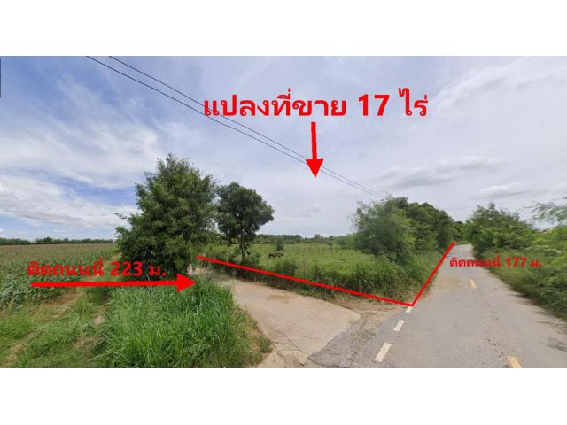 ขายที่ดิน 1 ไร่ถึง 17 ไร่ เขาใหญ่ ปากช่อง ใกล้สนามกอล์ฟ 1.6 ล้านต่อไร่