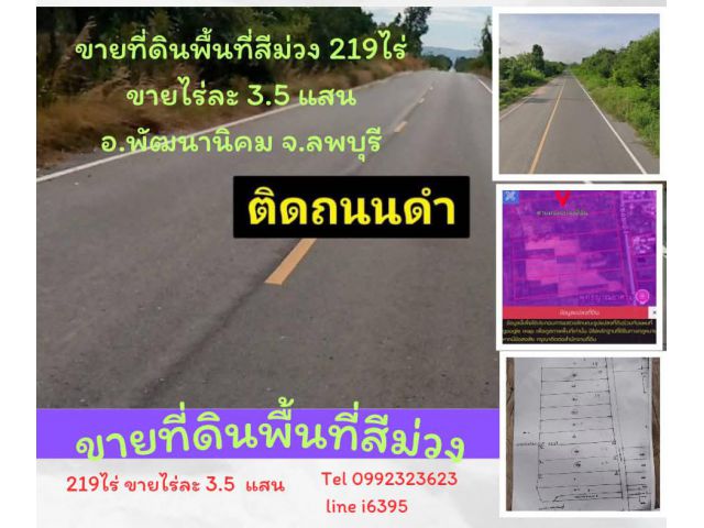 ขายที่ดินพื้นที่สีม่วง 219ไร่ อ.พัฒนานิคม จ.สระบุรี