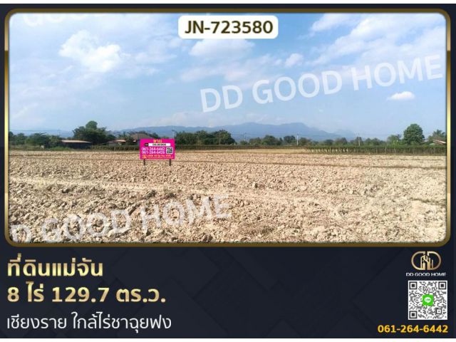 ที่ดินแม่จัน 8 ไร่ 129.7 ตร.ว. เชียงราย ใกล้ไร่ชาฉุยฟง