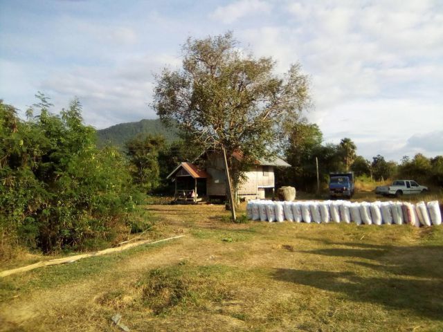 ที่ดินโฉนดเชียงคาน ไฟฟ้าประปาผ่าน ทำเลทอง ติดถนนสี่เลนเลี่ยงเมืองเชียงคานล่าสุด!! งานละ 850,000 เจ้าของขายเอง!!