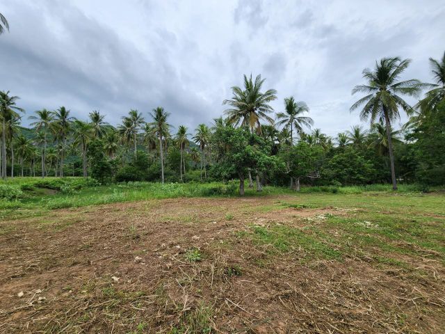 Land for Sale – Prime Location