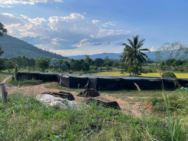 ที่สวยภูเรือ ทำเลดีติดถนนลาดยางเข้าสะดวกไฟฟ้าประปาพร้อมอยุ่ 1 ไร่ 1 งาน