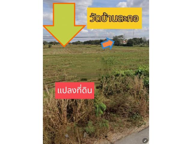 ขายที่ดิน ติดถนนดำ บ้านละกอ อำเภอจักราชจังหวัดนครราชสีมา ทำเลค้าขาย