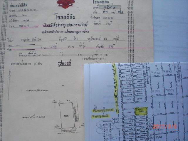 ขายที่หน้าที่ว่าการอำเภอหนองม่วง หน้าบ้านหลังใหญ่ โฉนด 3532 ต.หนองม่วง อ.หนองม่วง จ.ลพบุรี 34 ตร วา