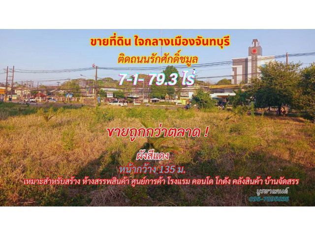 ขายที่ดินกลางเมืองจันทบุรี 7-1-79.3 ไร่ ใกล้ห้างโลตัสจันทบุรี ติดถนนรักศักดิ์ชมูล