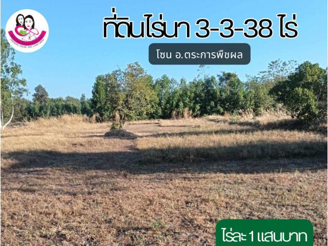 ขายที่นา บ้านโนนบ่อแบงตำบลขามเปี้ย อำเภอตระการพืชผล จังหวัดอุบลราชธานี