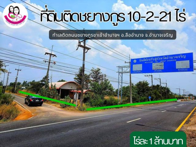 ขายที่ดินทำเลทอง ติดถนนชยางกูรขาเข้าอำนาจเจริญ อ.ลืออำนาจ จ.อำนาจเจริญ