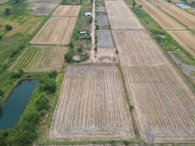 ขายที่ดินบ้านพริก 2 ไร่ ใกล้ถนนเส้นสุวรรณศร33-8.9กม. อ.บ้านนา จ.นครนายก