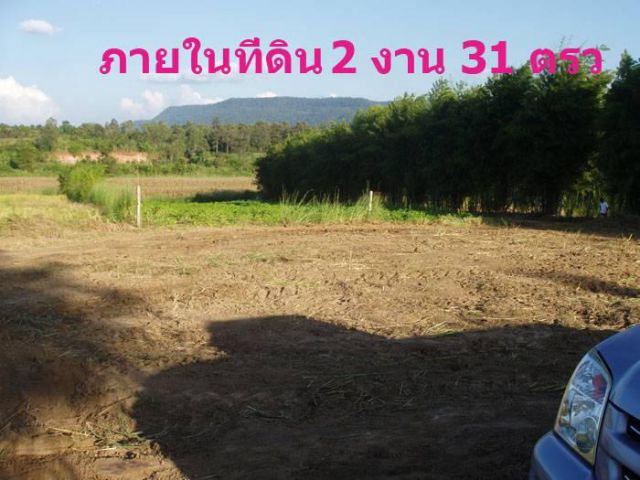 ที่ดินสวย 2 งานเหมาะกับบ้านพักตากอากาศงบไม่ถึงล้านติดเขตตัวภูเรือ