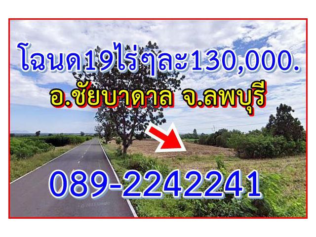 ที่ดิน(โฉนด)19ไร่2งานไร่ละ130,000.(ขายเองต่อรองได้)ต.ลำนารายณ์ อ.ชัยบาดาล จ.ลพบุรี