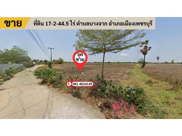 ขายที่ดิน 17-2-44.5 ไร่ ตำบลบางจาก อำเภอเมืองเพชรบุรี