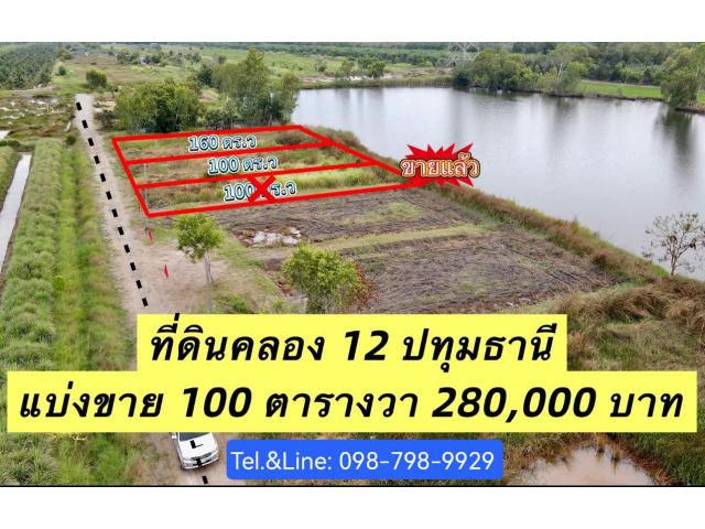 รีบจองเลยที่ดินราคาถูก ต.หนองสามวังใต้ คลอง12 ปทุมธานี แบ่งขาย 100 ตร.ว 280,000 บาท