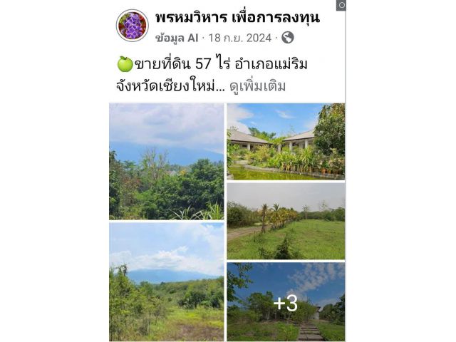 ขายที่ดิน 57 ไร่ อำเภอแม่ริม จังหวัดเชียงใหม่