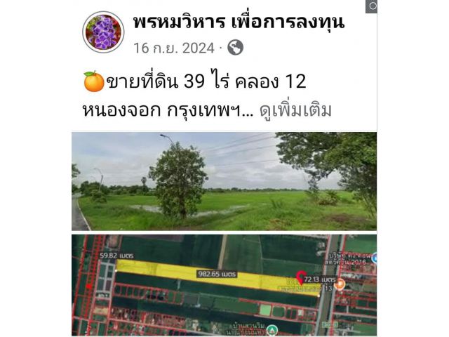 ขายที่ดิน 39 ไร่ คลอง 12 หนองจอก กรุงเทพฯ