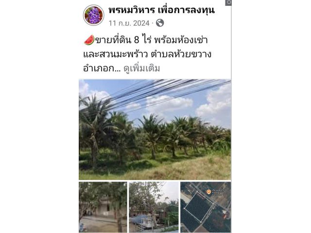 ขายที่ดิน 8 ไร่ พร้อมห้องเช่า และสวนมะพร้าว ตำบลห้วยขวาง อำเภอกำแพงแสน นครปฐม